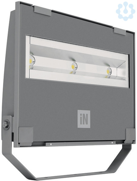 P.willinckii ‘Moonlight’ (vp)superdwarf 7links Elesion Camera, Überwachungskamera Indoor, Indoor Camera